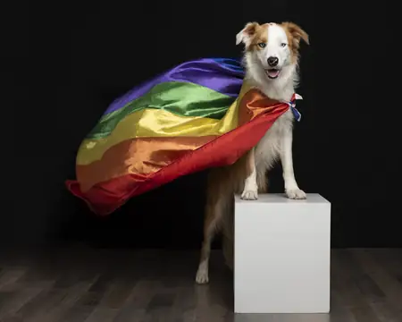 Mascota descansando tranquilamente sobre el césped