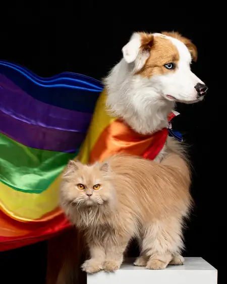 Retrato artístico de mascota con fondo desenfocado